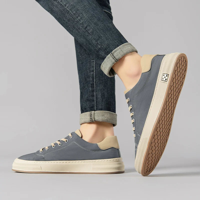 Alexander - Everyday Walkers