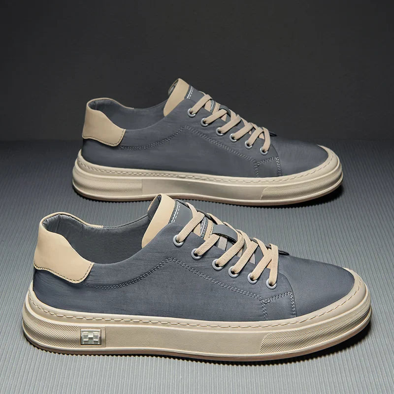 Alexander - Everyday Walkers