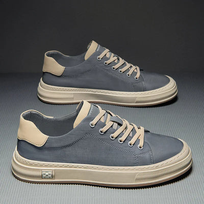 Alexander - Everyday Walkers